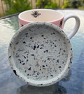 Shoreline Mussel Shell Coaster